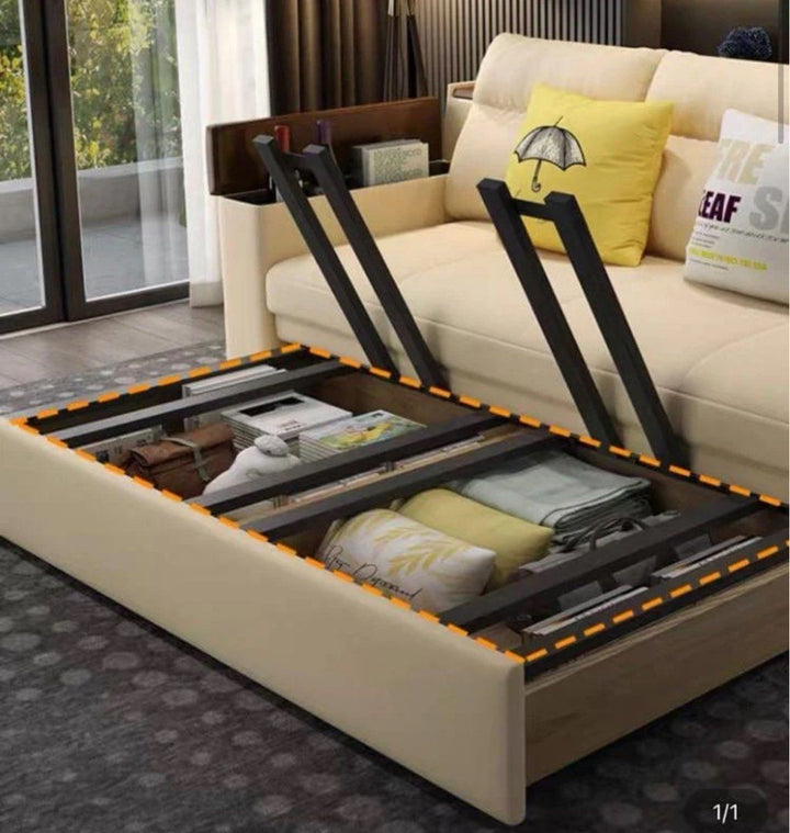 DAFIRA Modern Storage Sofa Bed