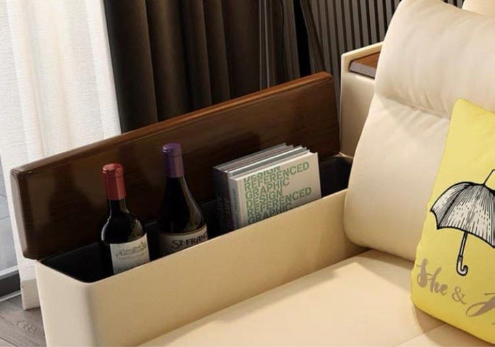 DAFIRA Modern Storage Sofa Bed