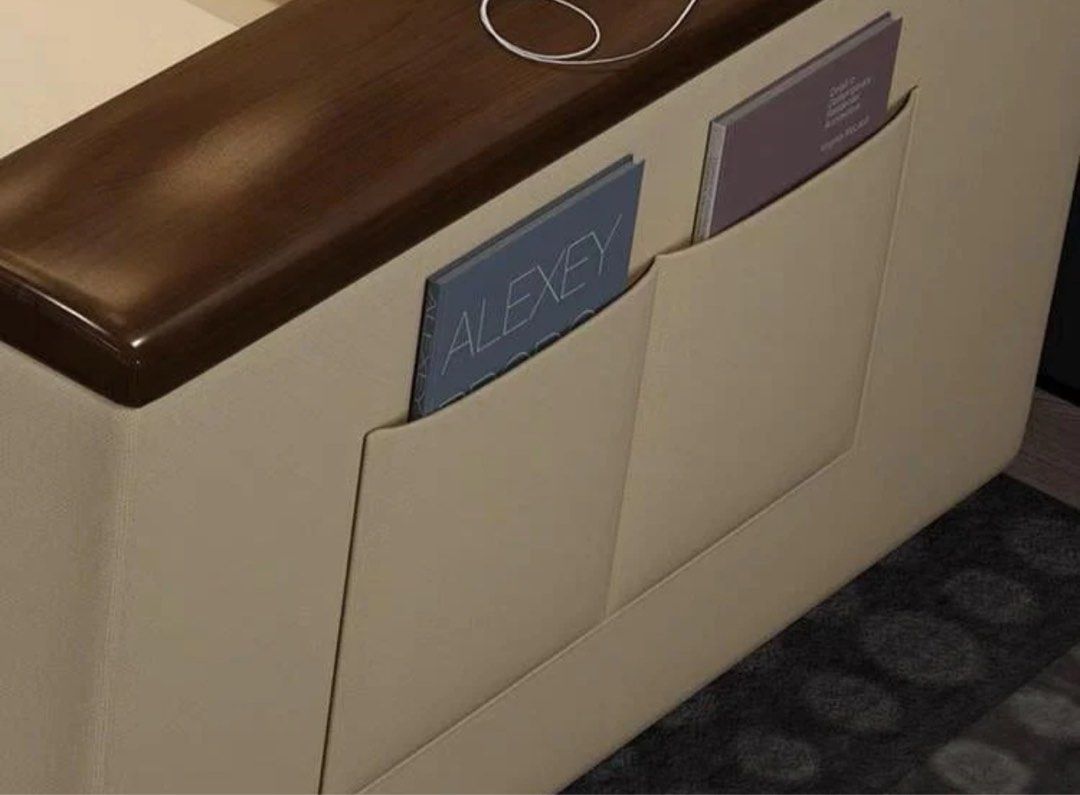 DAFIRA Modern Storage Sofa Bed