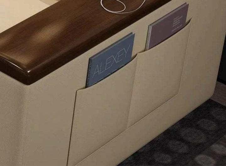 DAFIRA Modern Storage Sofa Bed