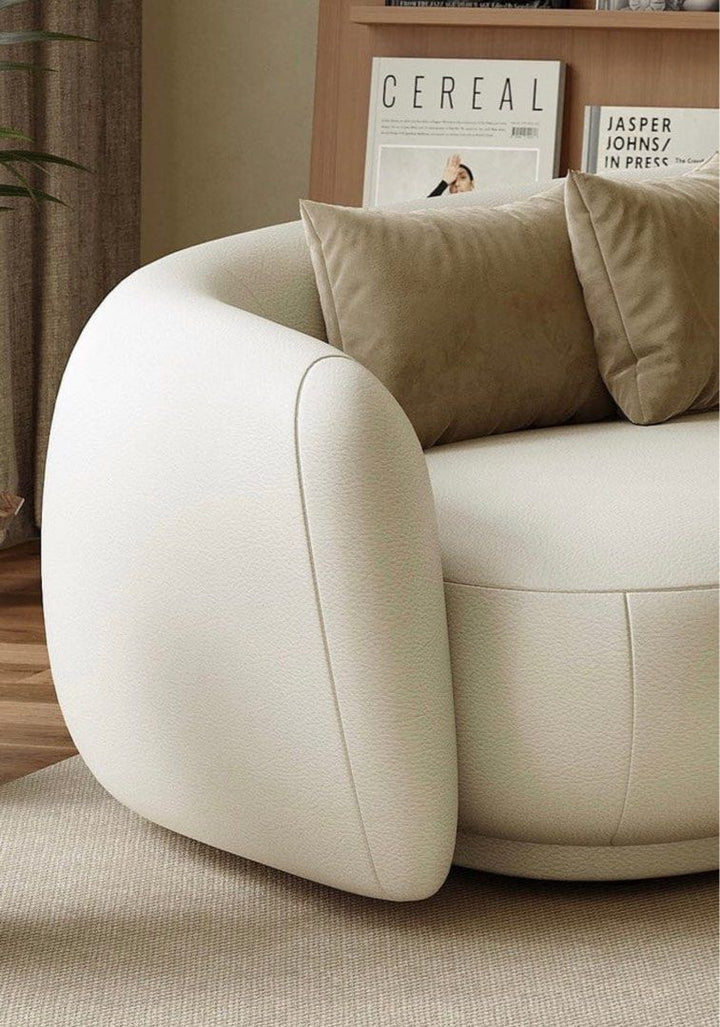 CHANTE Modern Scratch Resistant Sectional Curve Sofa