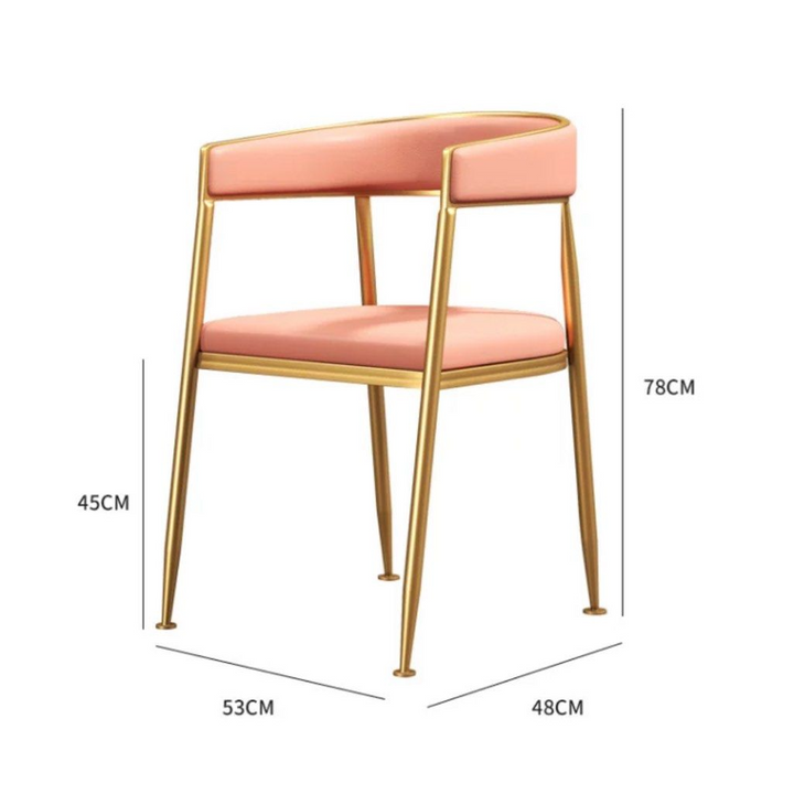 BANE Modern Dining Chair