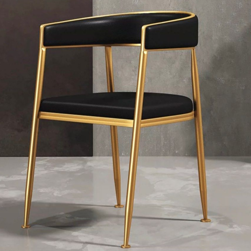 BANE Modern Dining Chair