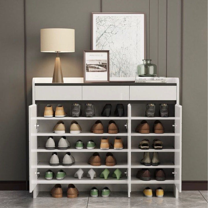 DARYL Modern Shoe Cabinet