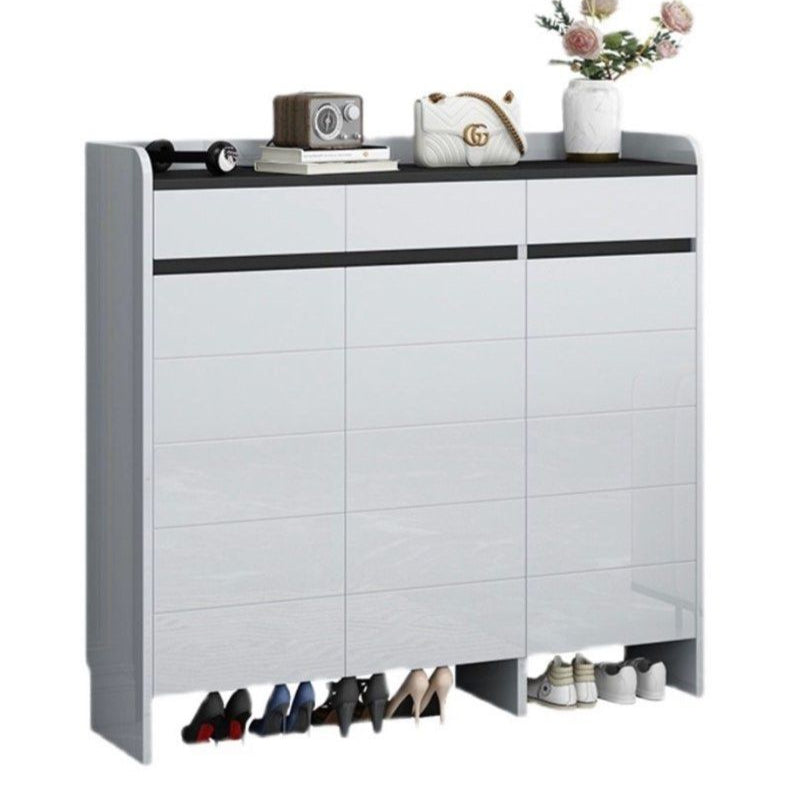 DARYL Modern Shoe Cabinet