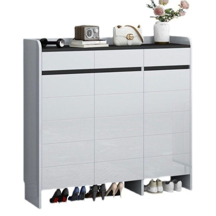 DARYL Modern Shoe Cabinet