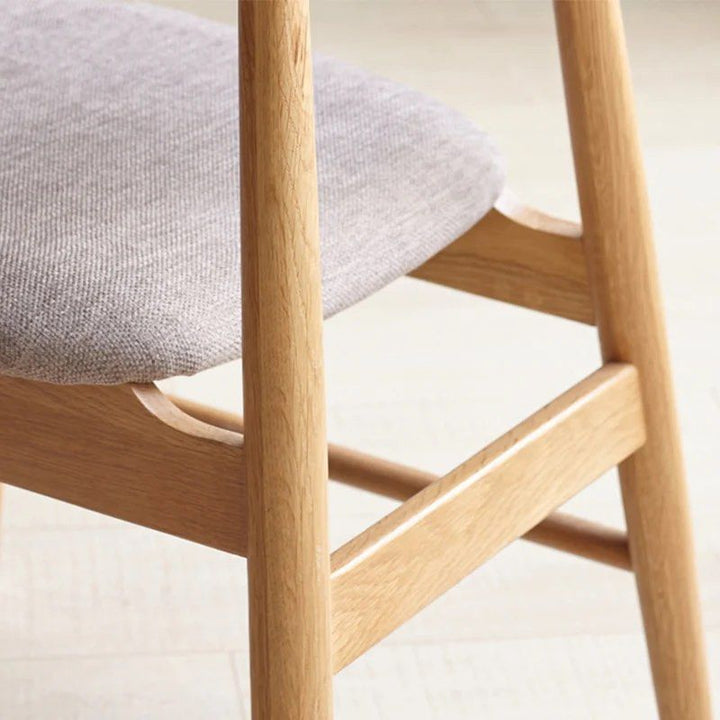 BARRAS Modern Dining Chair (Set of 2)