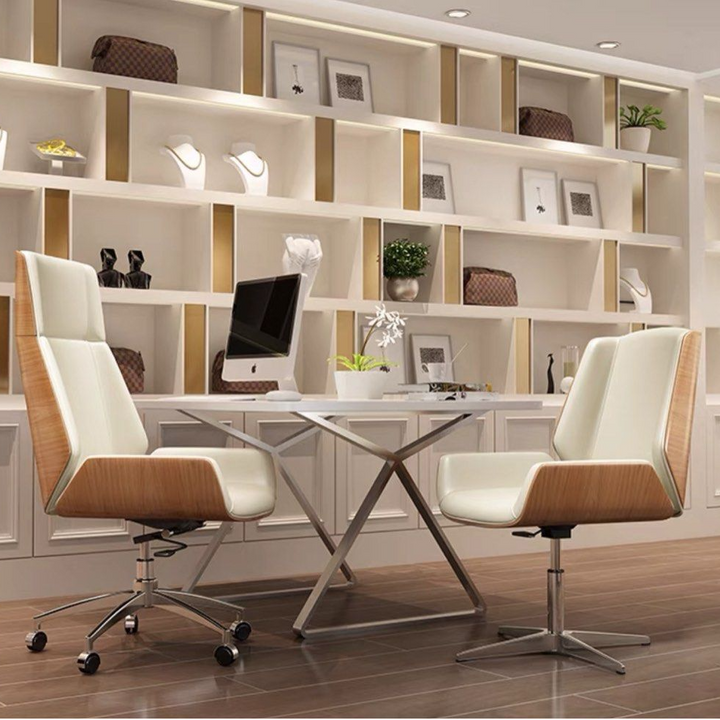 THEODORE Modern Leather Office Chair