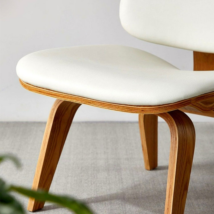 DIANA Modern Lounge Chair