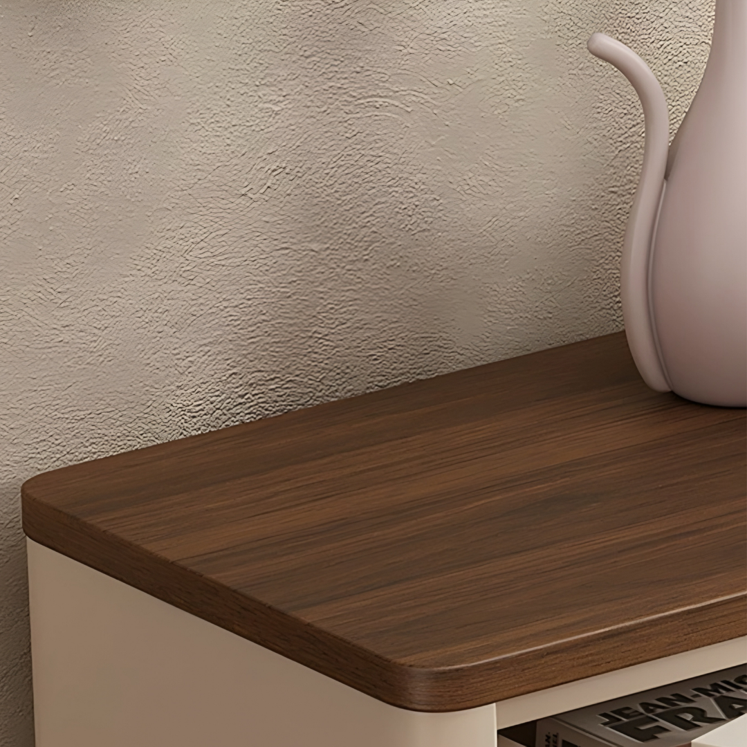 WALNOX Modern Shoe Cabinet