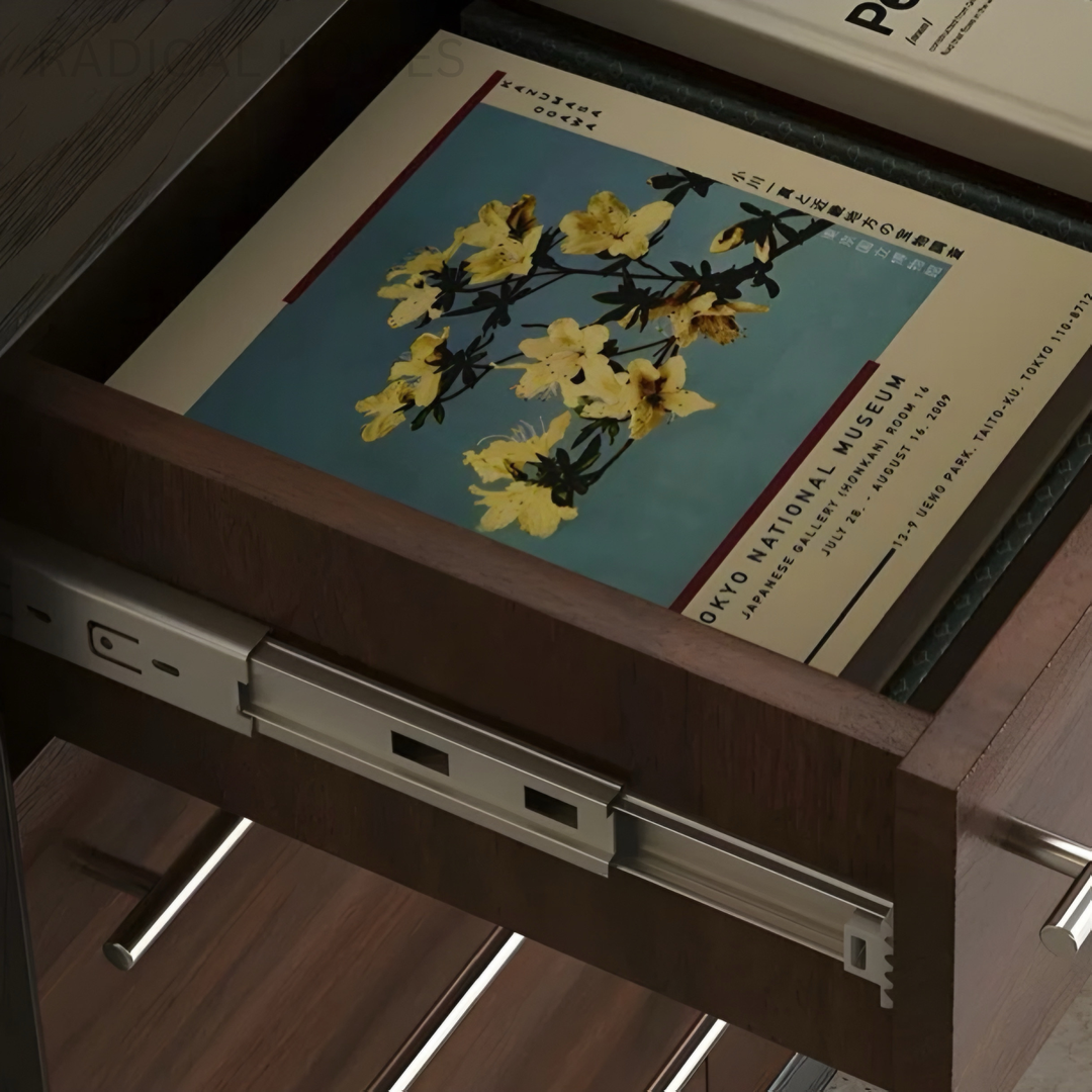 ZAREVON Modern Shoe Cabinet