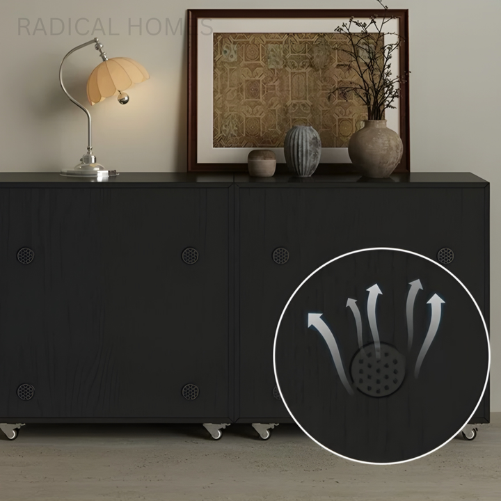 ZAREVON Modern Shoe Cabinet