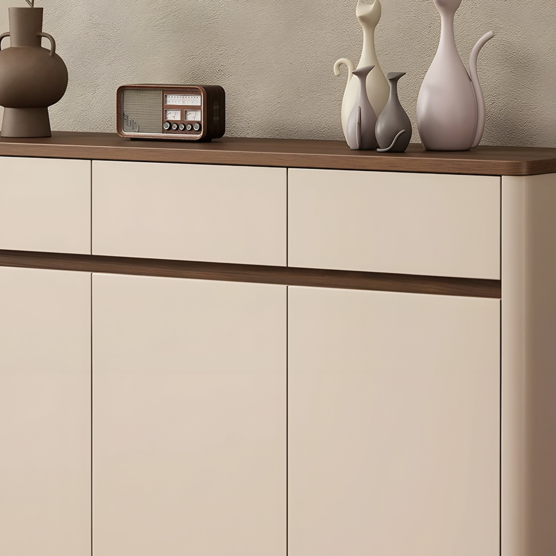 WALNOX Modern Shoe Cabinet