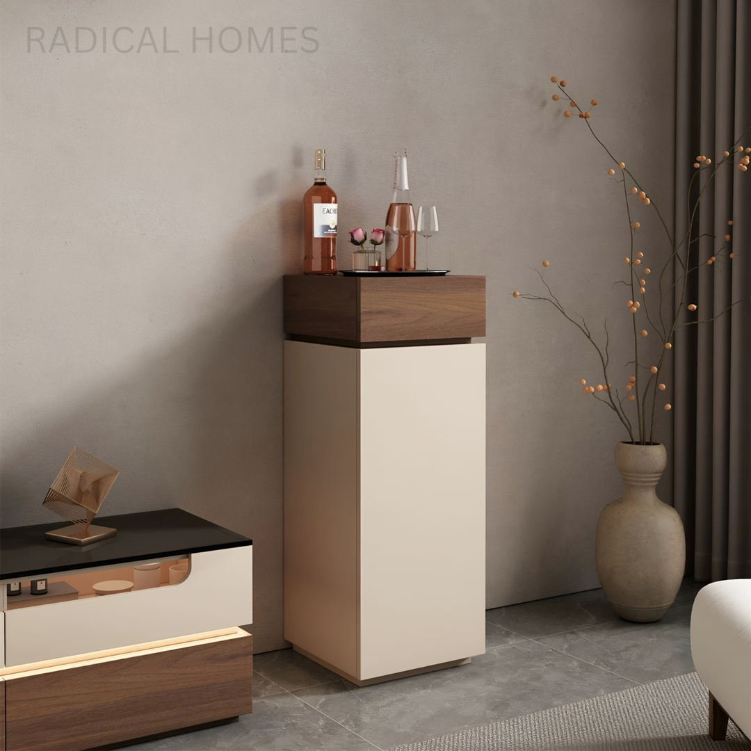 ORVANTA Modern Display Storage Cabinet - Radical Homes Singapore