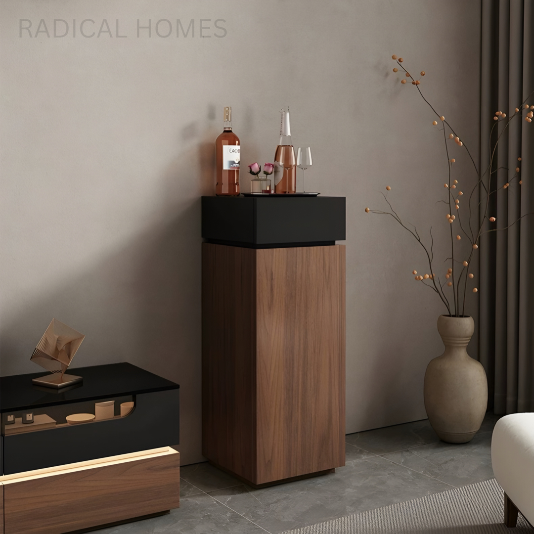 ORVANTA Modern Display Storage Cabinet - Radical Homes Singapore