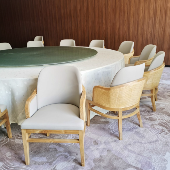 LUCENT Modern Rattan Dining Chair