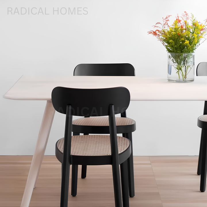 SORA Nordic Rattan Dining Chair