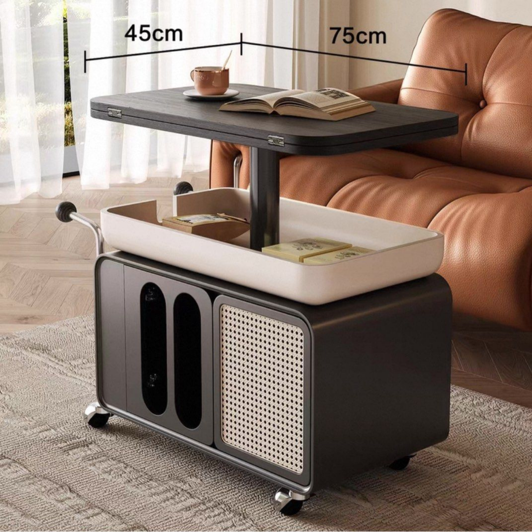 OLKI Modern Rustic Coffee Table with Storage