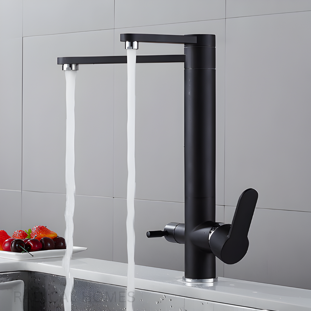 ONYX Modern Black Double Tap Faucet