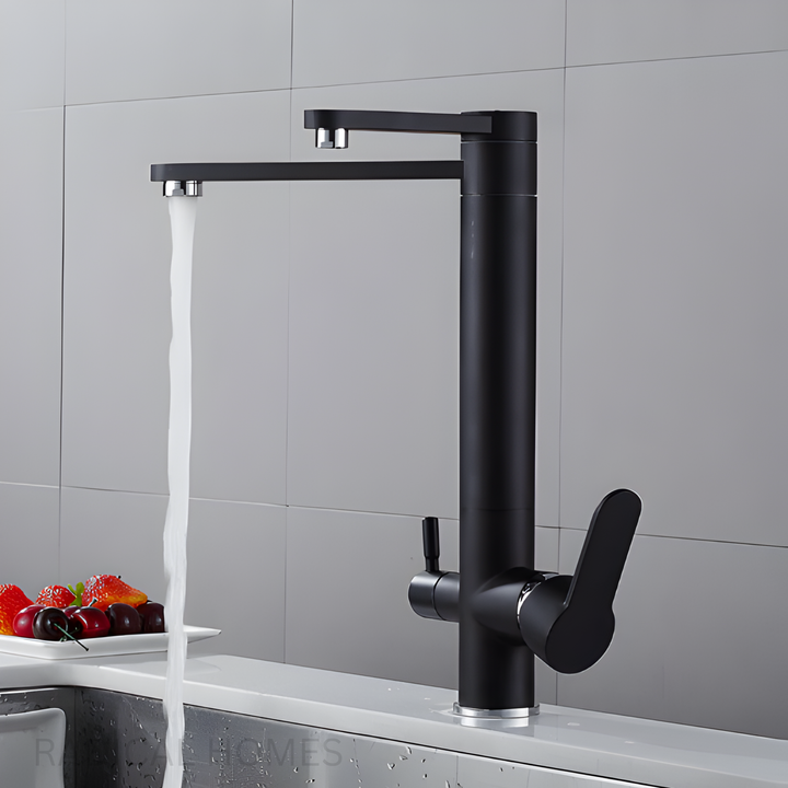ONYX Modern Black Double Tap Faucet
