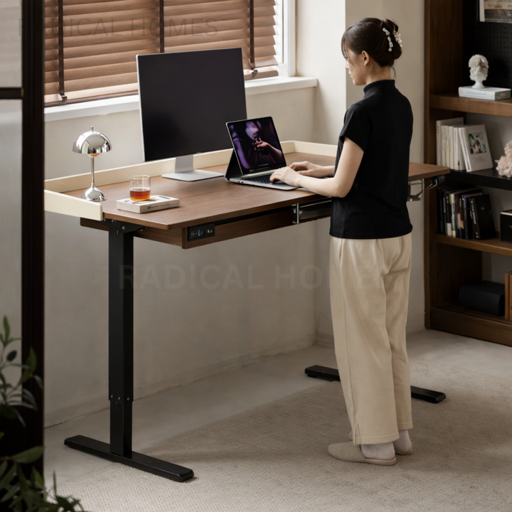 TES Modern Electric Adjustable Study Table - Radical Homes Singapore