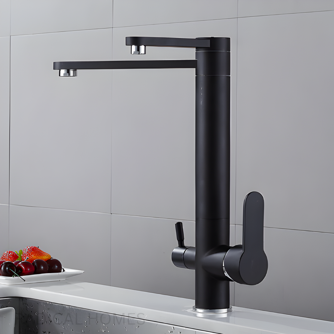 ONYX Modern Black Double Tap Faucet