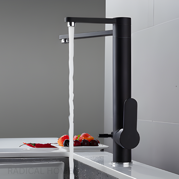 ONYX Modern Black Double Tap Faucet