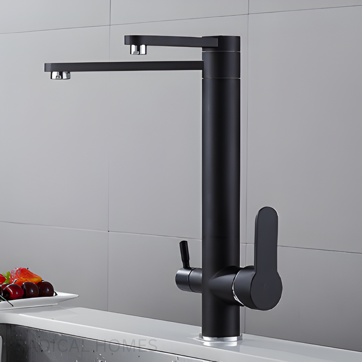 ONYX Modern Black Double Tap Faucet