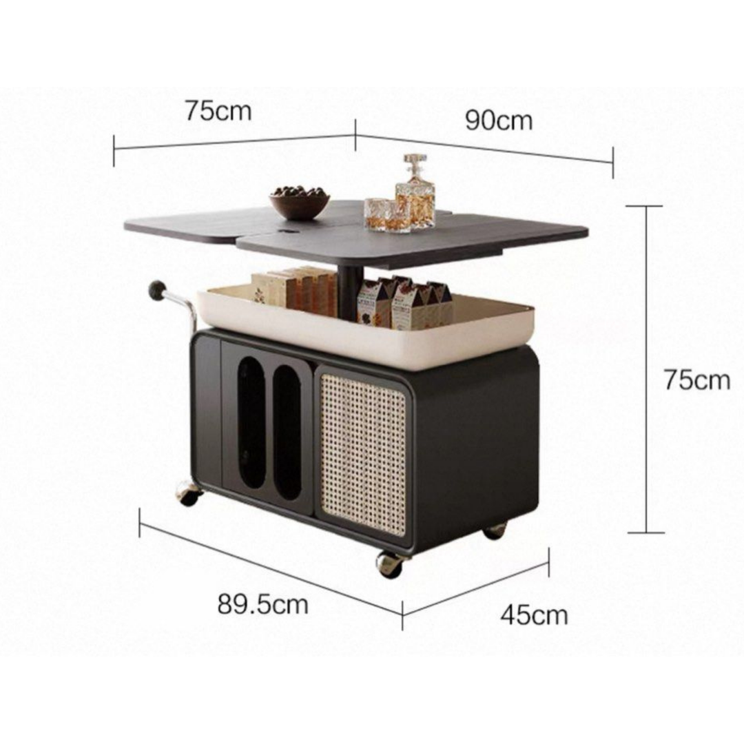 OLKI Modern Rustic Coffee Table with Storage