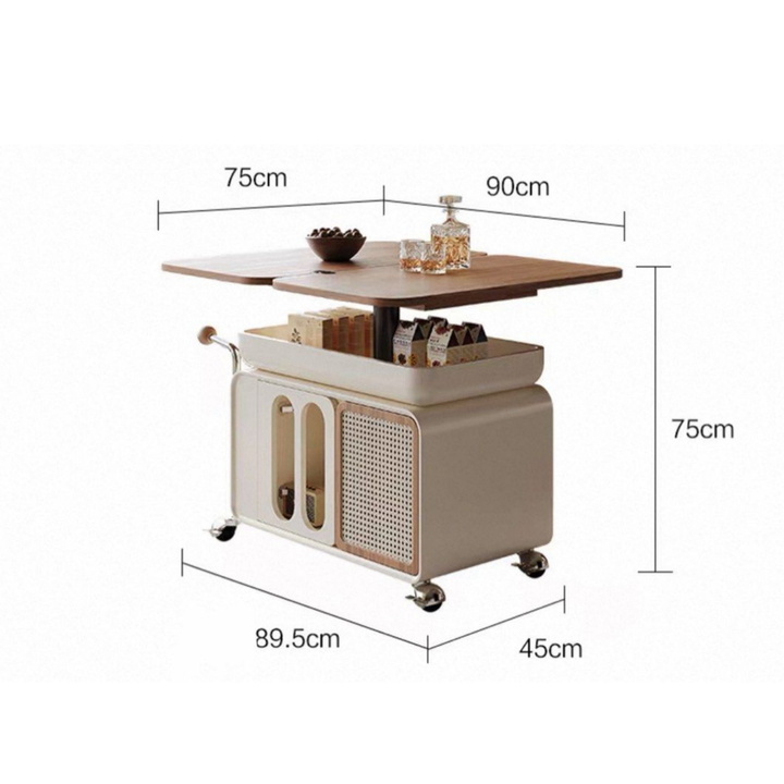 OLKI Modern Rustic Coffee Table with Storage