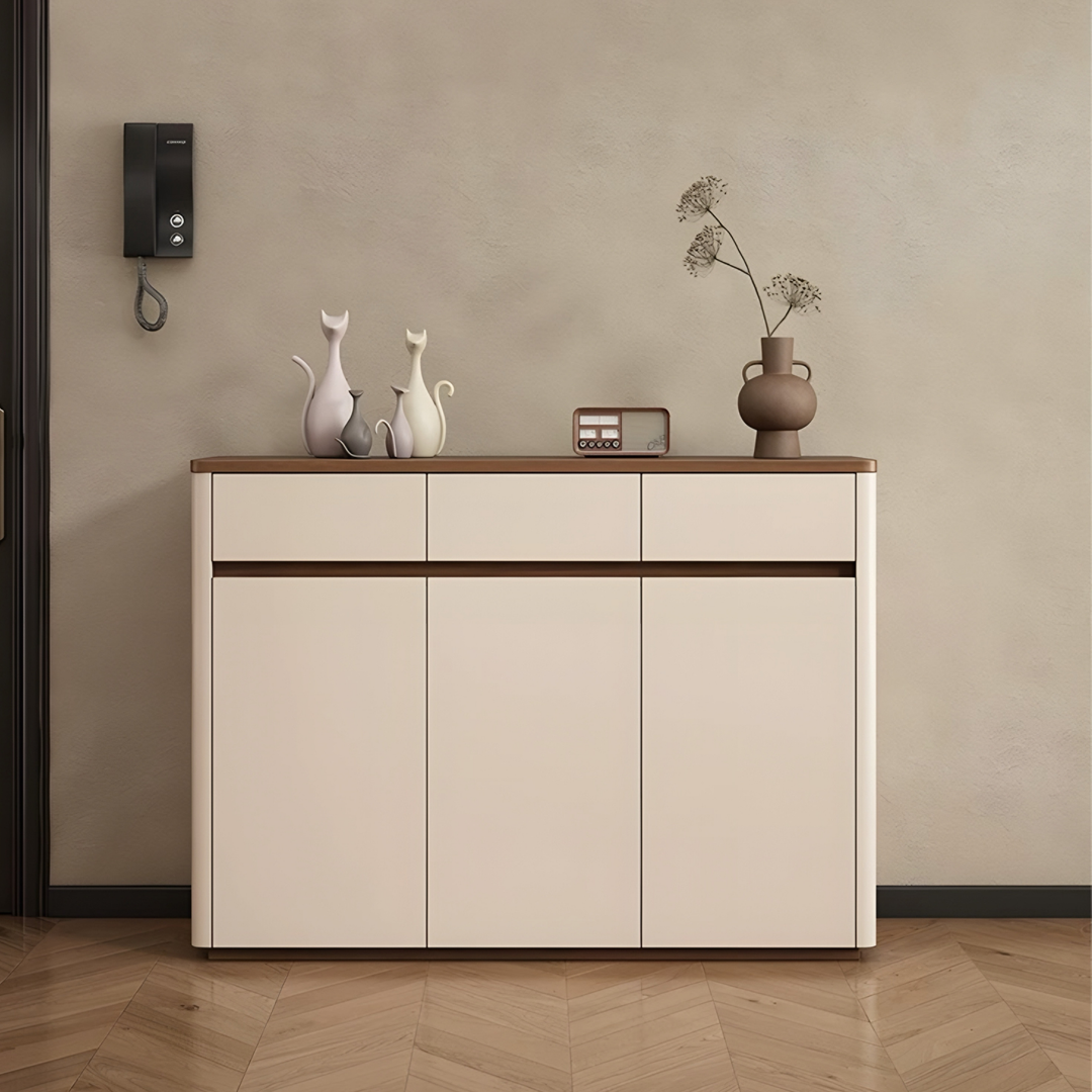 WALNOX Modern Shoe Cabinet