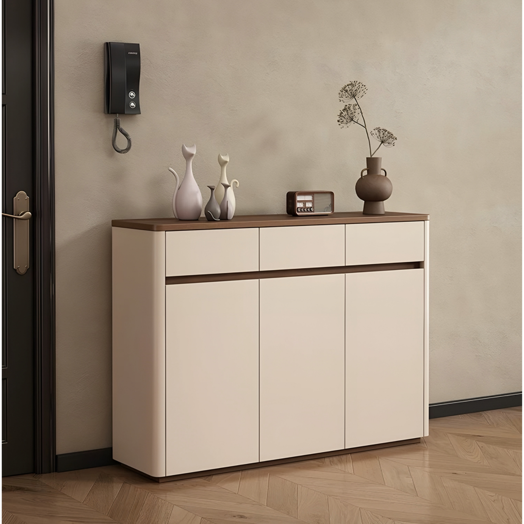 WALNOX Modern Shoe Cabinet