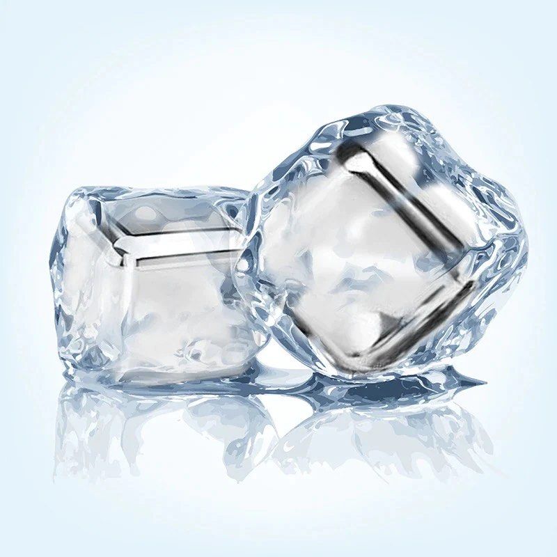 ARTIC Stainless Steel Ice Cube