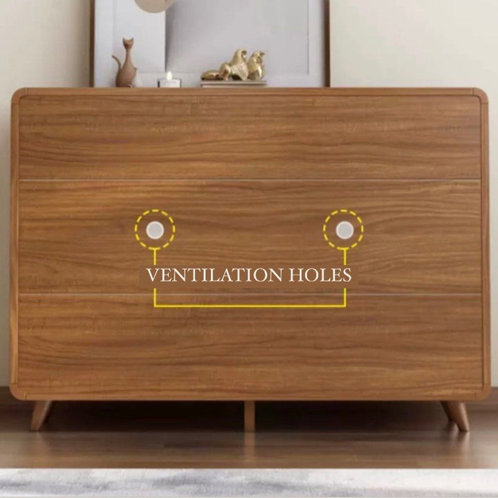 BOSCE Modern Walnut Shoe Cabinet