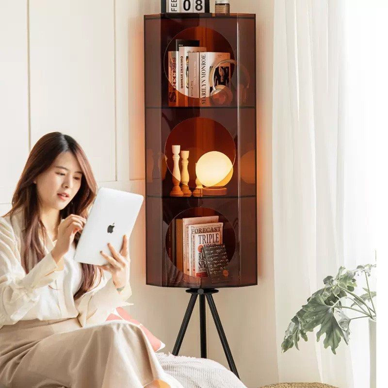 DYLAN Modern Acrylic Bookshelf