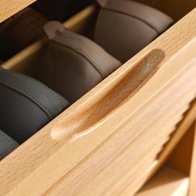 FIORE Designer Shoe Storage Cabinet