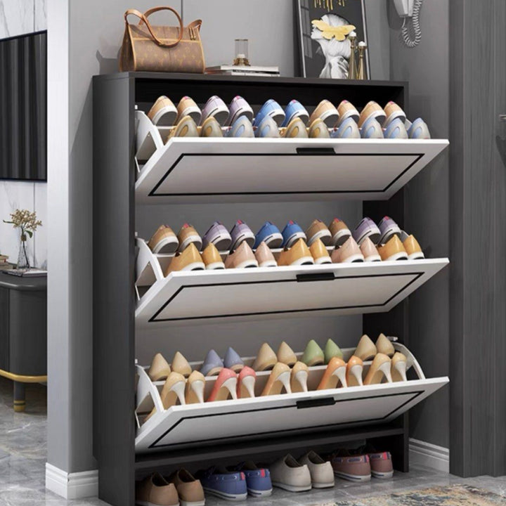 HADY Modern Slim Shoe Cabinet