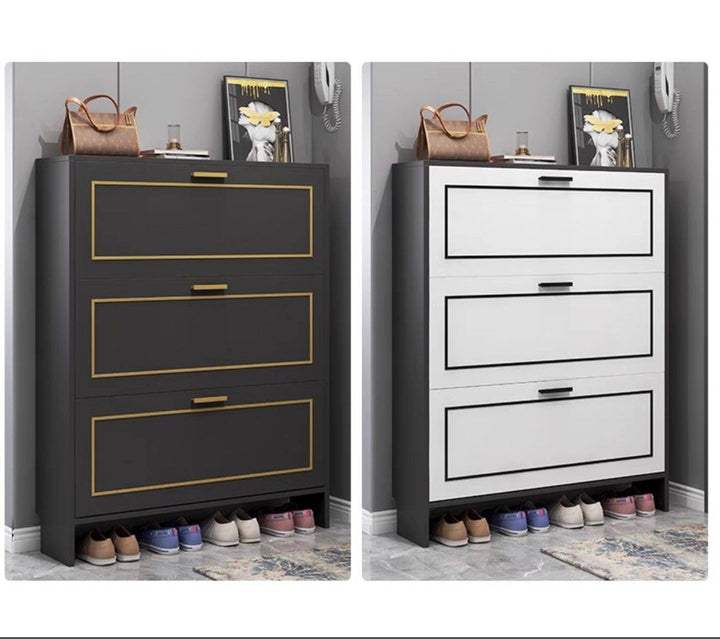 HADY Modern Slim Shoe Cabinet