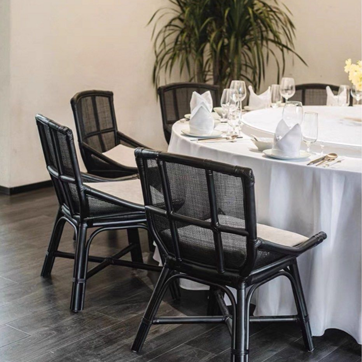 NEISTA Indoor/Outdoor Rattan Chair