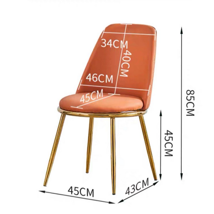 BRIAN Modern Dining Chair