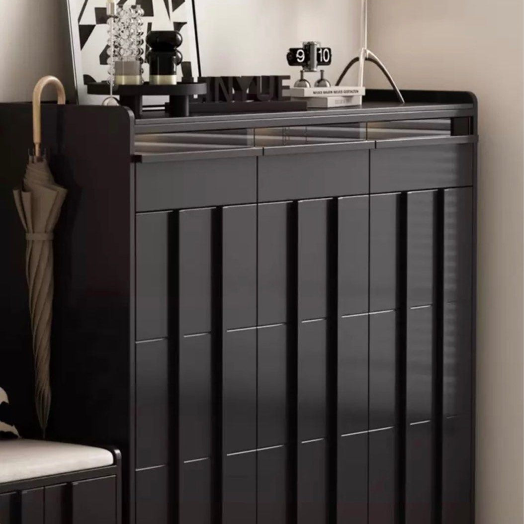 MOLAN Modern LED Shoe Cabinet