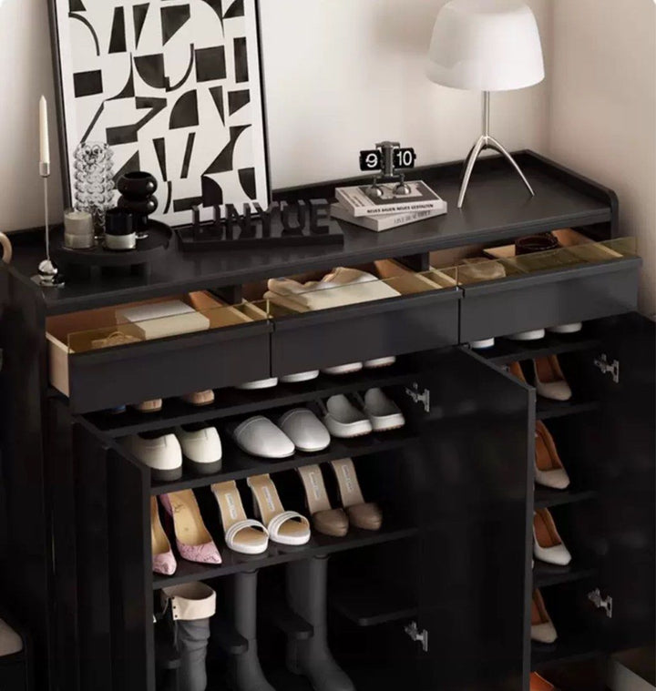 MOLAN Modern LED Shoe Cabinet