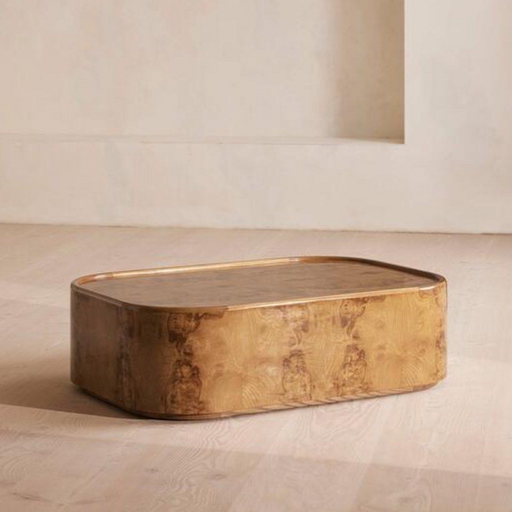 YAN Modern Mappa Burl Coffee Table