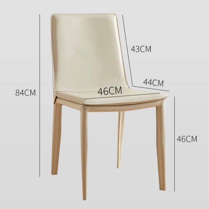 RIRI Modern Dining Chair - Radical Homes Singapore