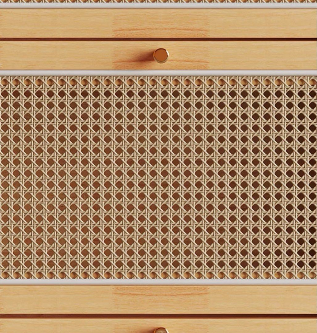TAEONG Rattan Slim Shoe Cabinet