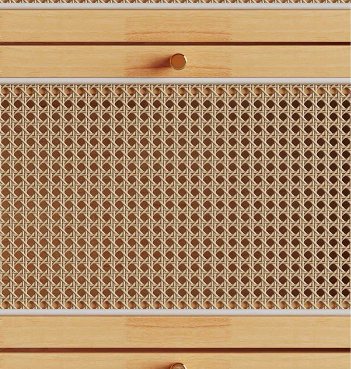 TAEONG Rattan Slim Shoe Cabinet