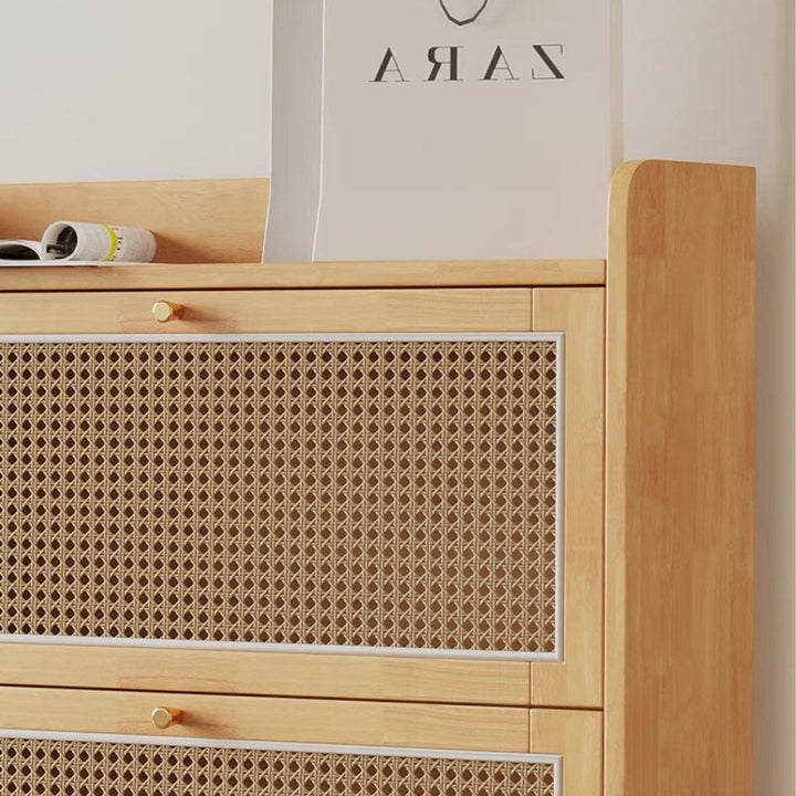 TAEONG Rattan Slim Shoe Cabinet
