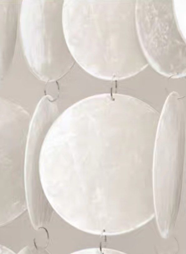 TAZU Modern Sea Shell Wall Art