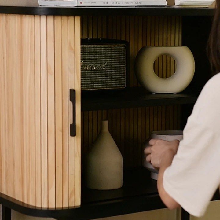 TRISHA 2 Door Wood Cabinet