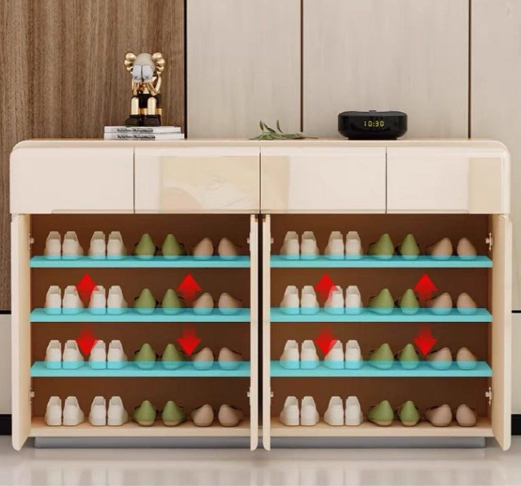 TURZE Modern Champagne Shoe Cabinet